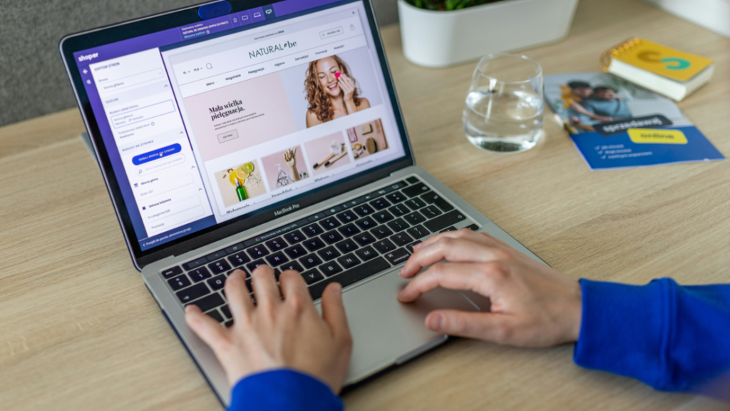 nichos para ecommerce